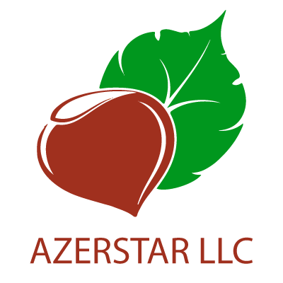 Loading Azerstar website